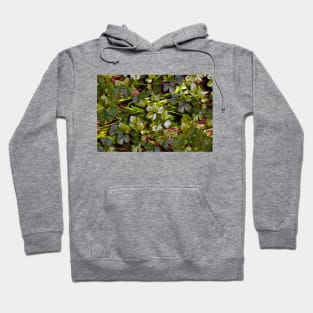 Abstract Parsley Composition Hoodie